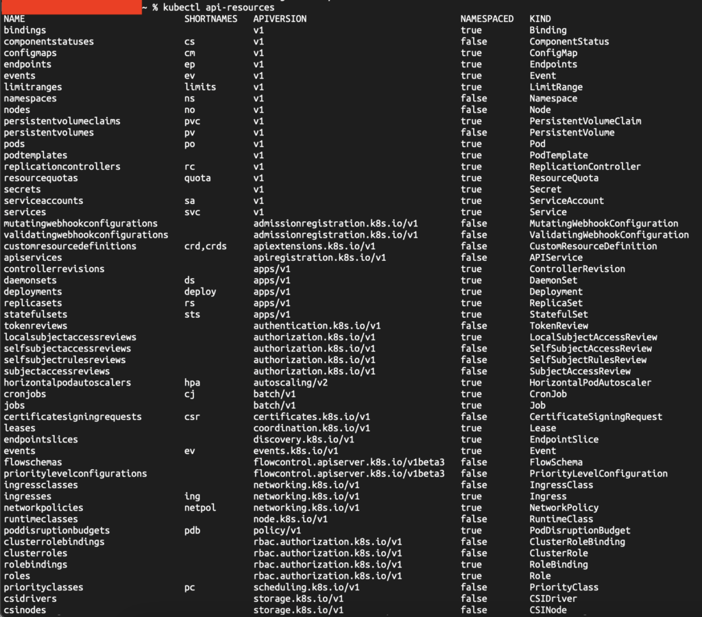 Ouput of the kubectl api-resources command