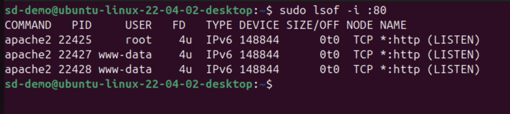 You can filter the results by specifying a port or protocol.